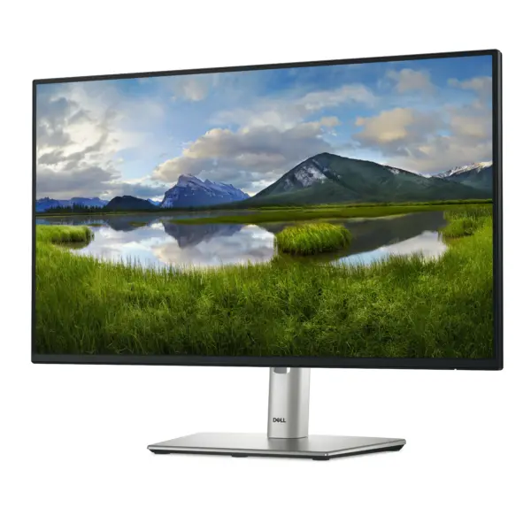 24″ FHD IPS | 100Hz | Monitor Dell P2425H: HDMI + DisplayPort + VGA | 3 años garantía - imagen 5