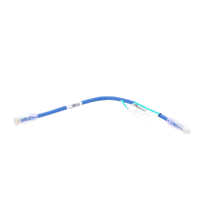 Cable de Parcheo UTP Categoría 6, con Plug Modular en Cada Extremo – 0.3 Metros (1 Pie) – Azul - imagen 3