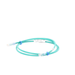 Cable de Parcheo UTP Categoría 6, con Plug Modular en Cada Extremo – 1.5 Metros (4.92 Pies) – Verde miniatura 3