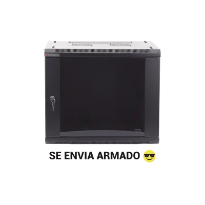 Gabinete Precision 6U | 450mm | Con puerta - imagen 1