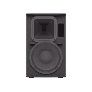 Altavoz Amplificado 10 in | Potencia: 700w | Amplificacion Clase-D | Hecho en Madera | Para aplicaciones de Instalacion y Refuerzo Sonoro