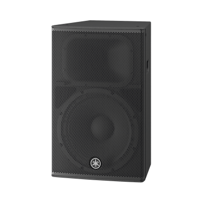 Altavoz Amplificado 15 pulgadas | Potencia: 1000w | Amplificacion Clase-D | Hecho en Madera | Para aplicaciones de Instalacion y Refuerzo Sonoro - imagen 1