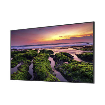 Pantalla Profesional LED de 55″, UHD 4K (3840x2160p), Entradas de Video HDMI, Bocinas Integradas de 10 W. Compatible VESA - imagen 2