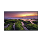 Pantalla Profesional LED de 65″, UHD 4K (3840x2160p) / Entradas de Video HDM / Bocinas Integradas de 10 W. Compatible VESA / compatible con MagicInfo miniatura 1