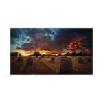 Pantalla Profesional LED de 55″ para Video Wall, Full HD (1080p), HDMI/DVI-D/DP, Bisel Ultra Delgado de 2.3mm. Compatible VESA 600×400 miniatura 1