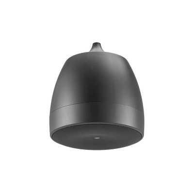 Altavoz Colgante Comercial | 6.5 in | 2 Vias, 300w | 8 Ohms | 70v/100v | Negro - imagen 1