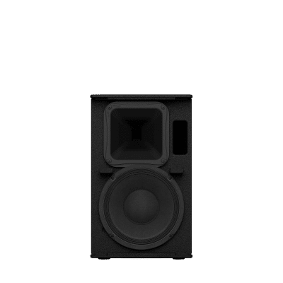 Altavoz de Montaje en Superficie de 2 vias | Woofer 10'' | Tweeter 1.4″ | 8ohms | Color Negro | 350W | Gabinete de Madera - imagen 1